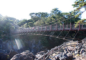 城ケ崎海岸