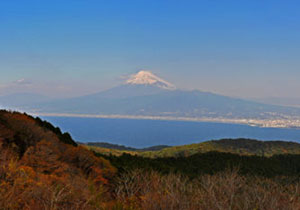 達磨山（だるま山高原レストハウス）